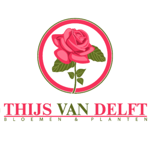 Thijs van Delft